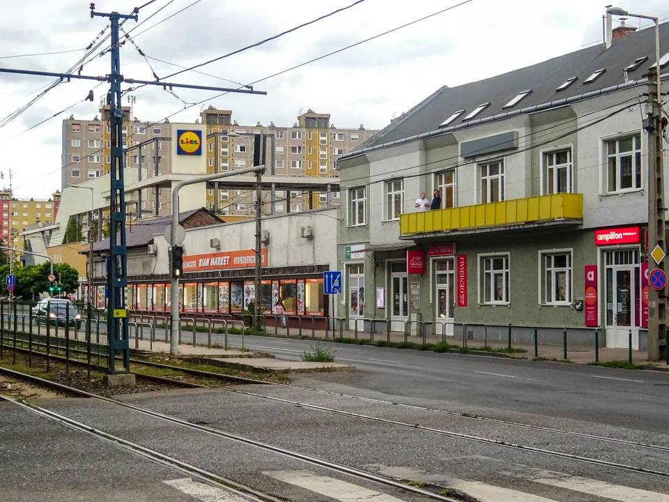 The Digital Nomad's Grocery Guide: Why We All End Up at Lidl