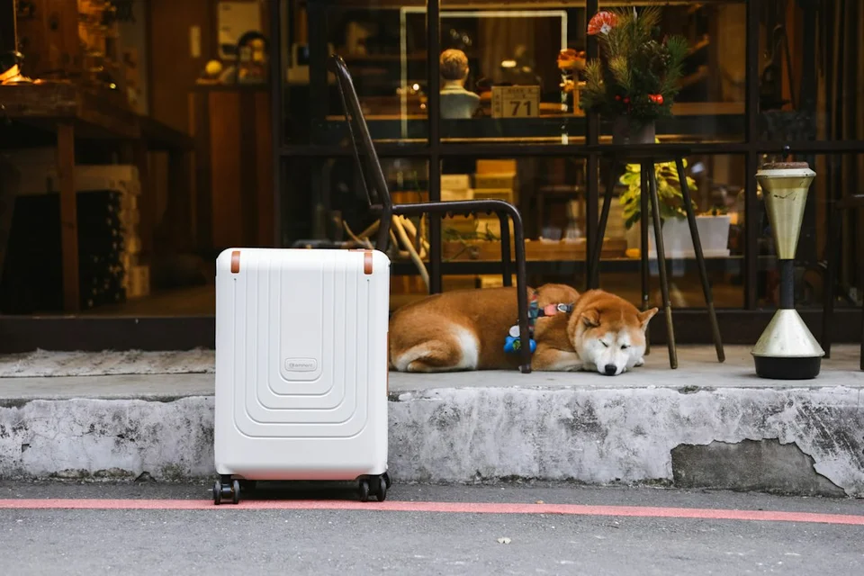 Vaccines for Travel: Pets and Young Children, Where to Start