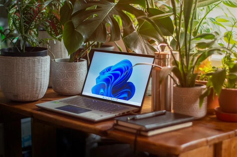 Laptop on a wooden desk near a bright window, surrounded by houseplants and notebooks.