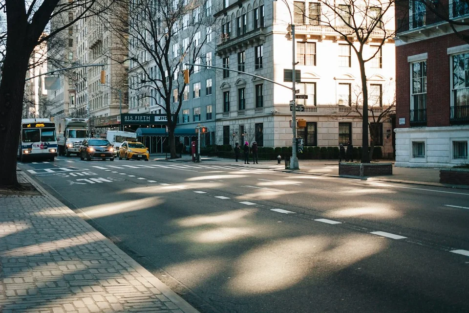 Calle urbana con sol intenso y sombras profundas de los árboles sobre el adoquín y los edificios.